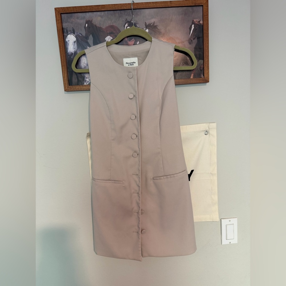 Abercrombie & Fitch Taupe Button-Front Mini Dress